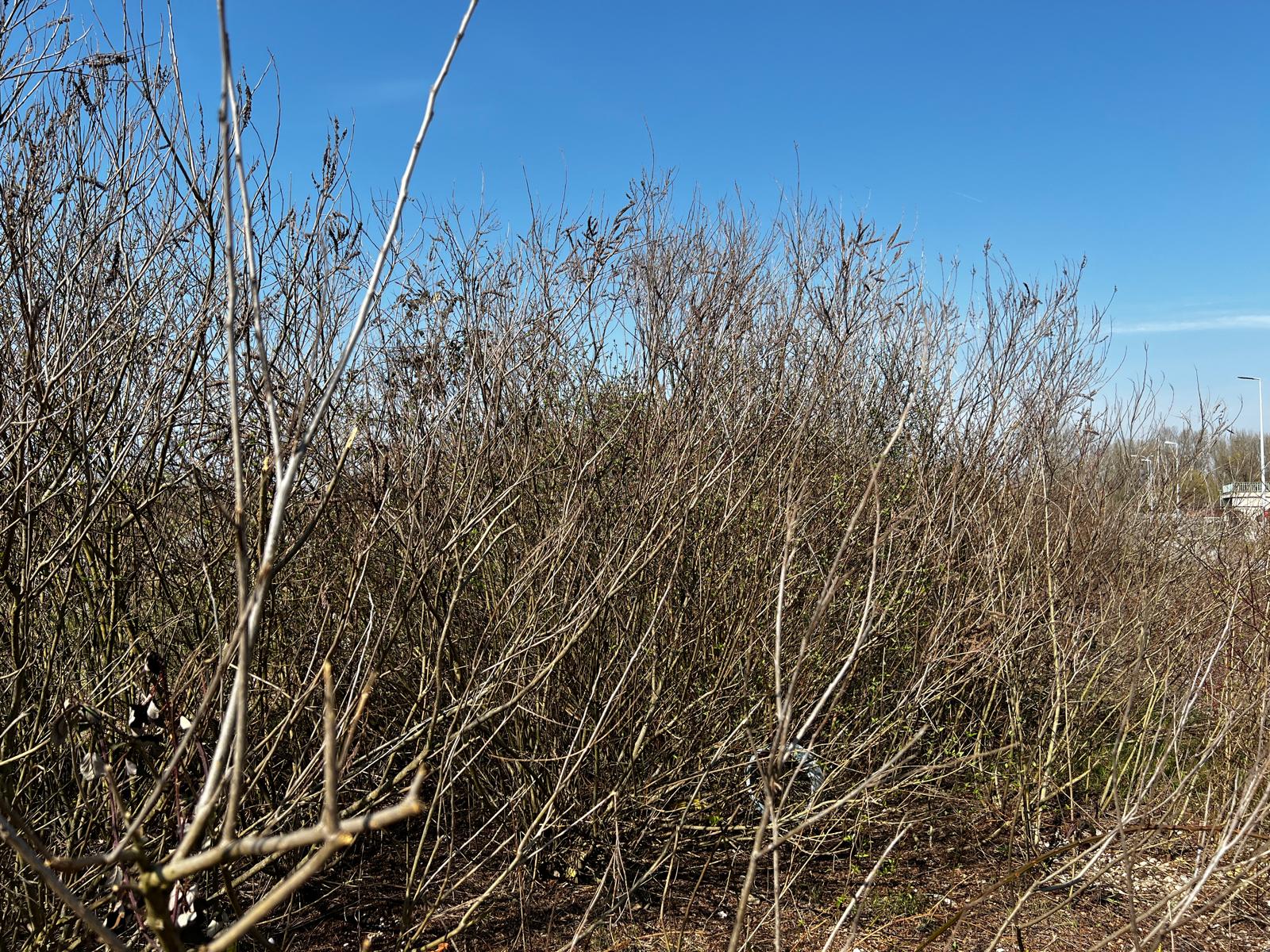 Sjeca siblje krcenje terena komunalni servisi sisak smz